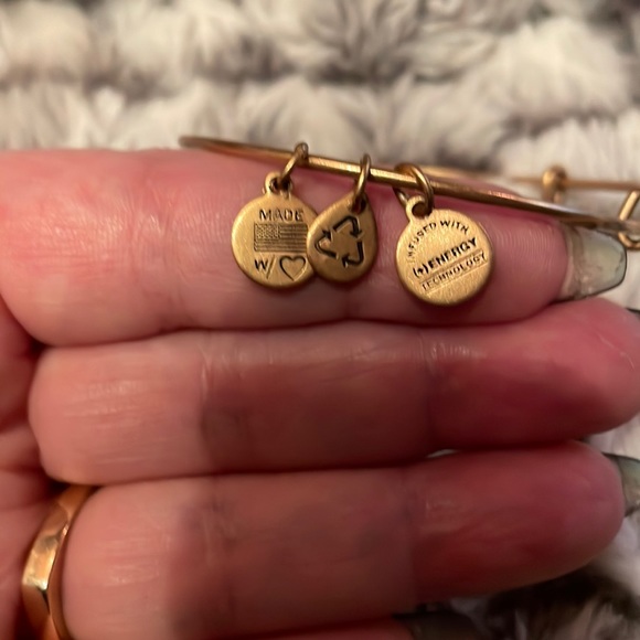 Alex and Ani 2014 made in USA. Fluer dDi Lis. Adjustable. - Picture 4 of 5